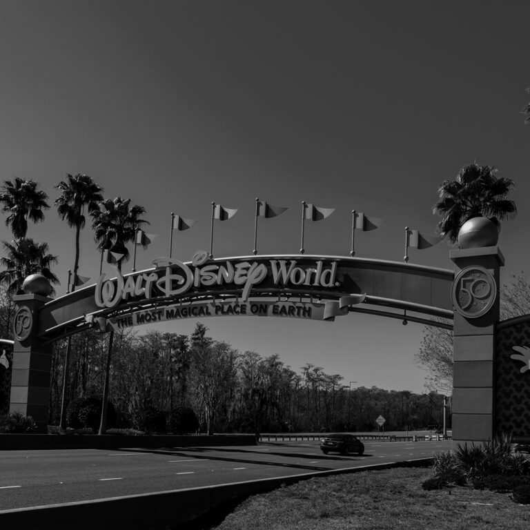 Websitegraphic Backfill Disney